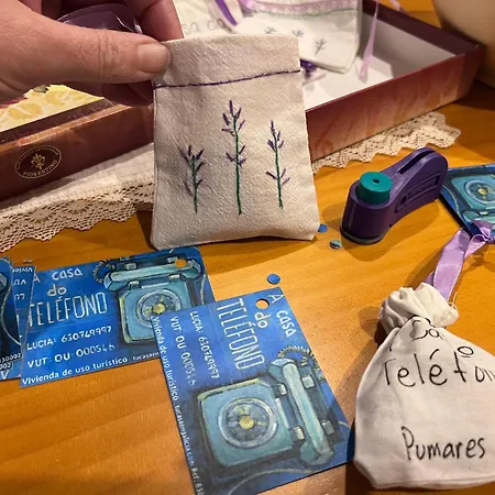 A Casa Do Telefono 別荘 Pumares