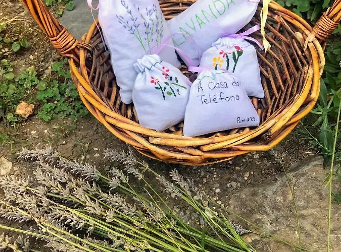 A Casa Do Telefono *